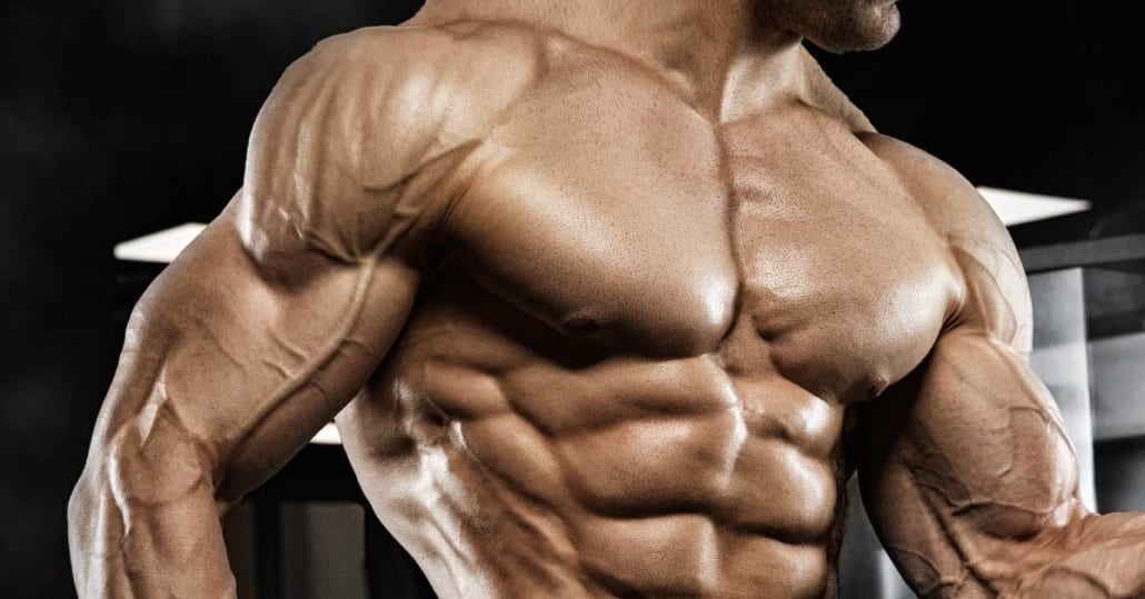 MUSCLE GROWTH