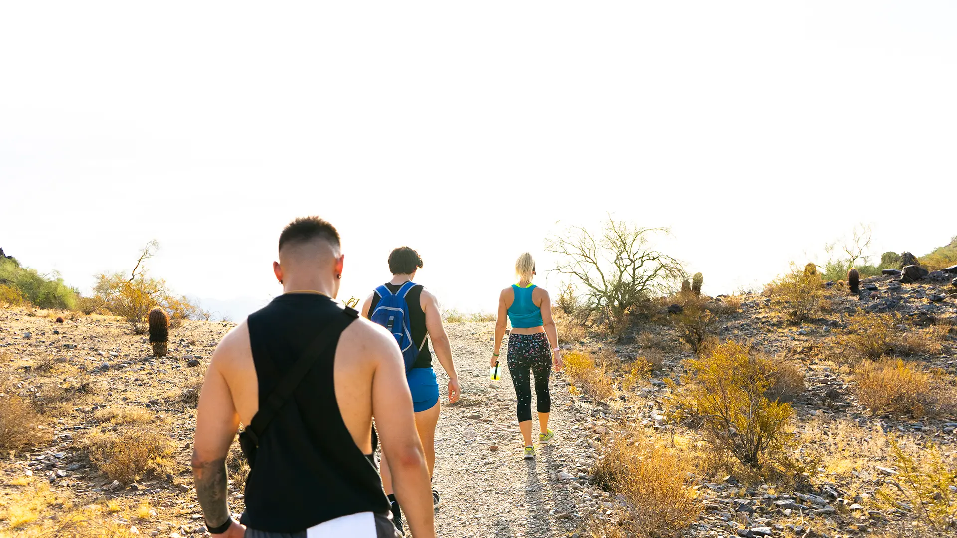 Scottsdale Desert Hike